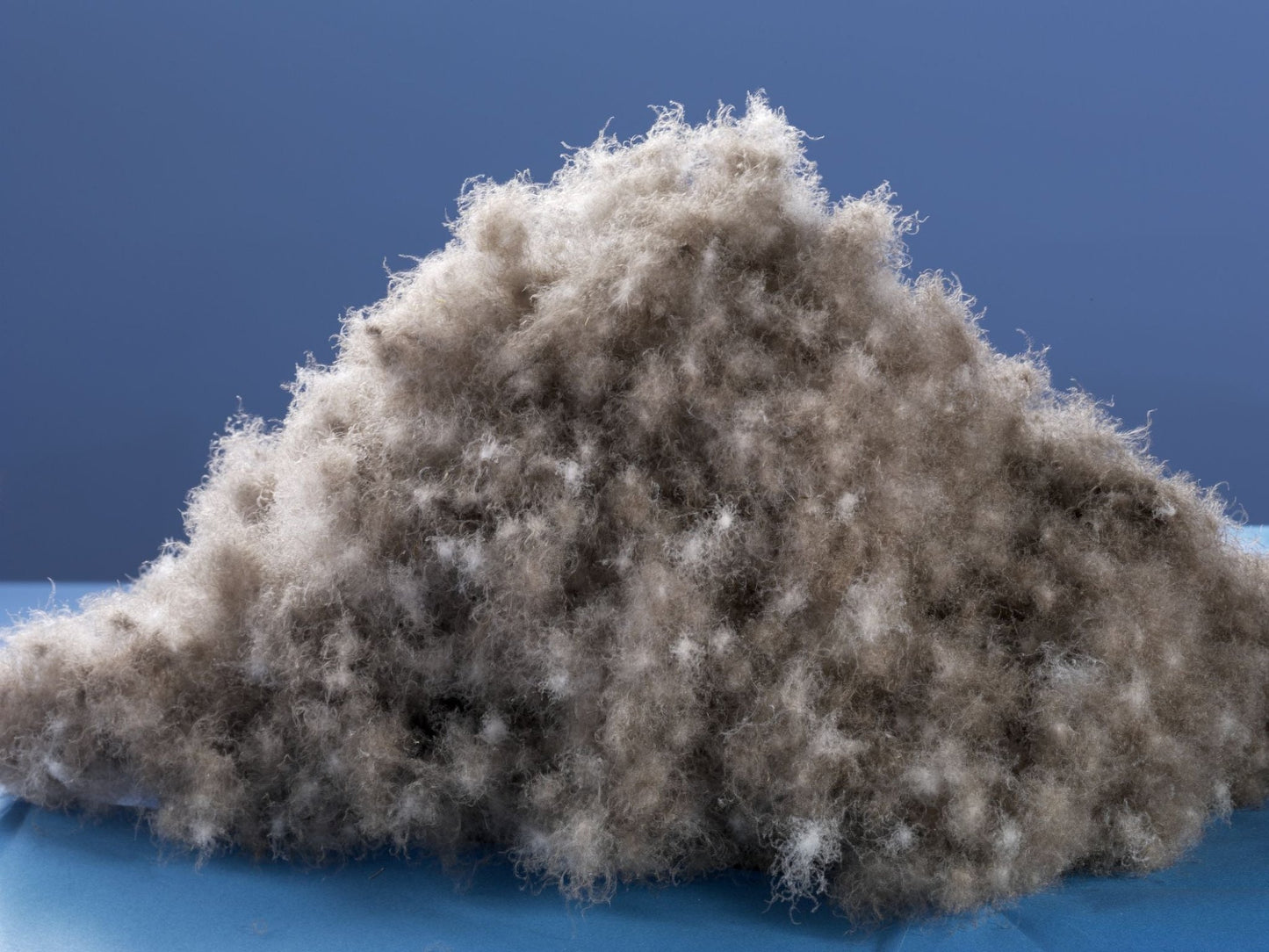 lose WareNeue, reine, Arktische Eiderdaune (100%)