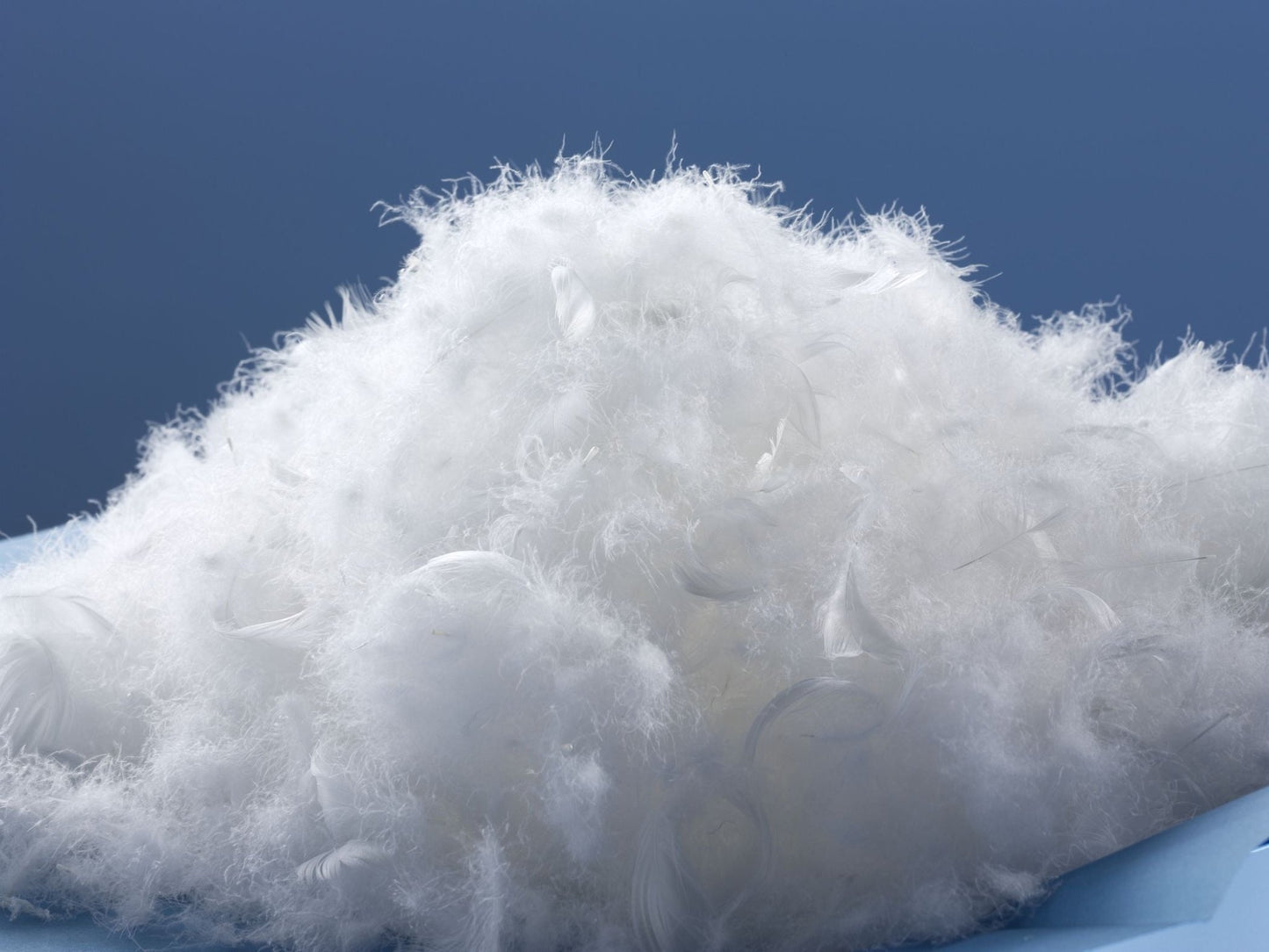 lose WareWeiße, neue, Oldenburger Gänsefeder und - daune (50/50)