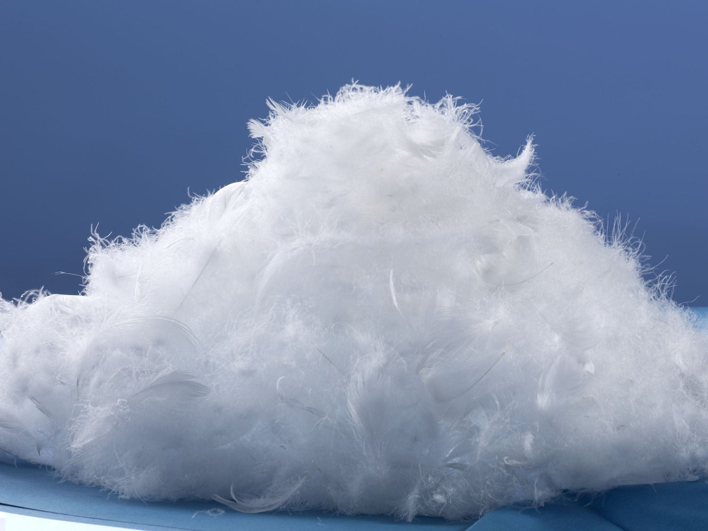 Weiße, neue Oldenburger Gänsefeder und - daune (70/30)