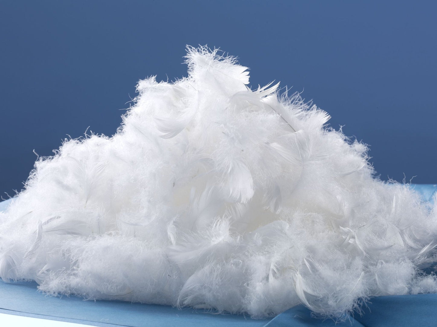 lose WareWeiße, neue Oldenburger Gänsefeder und - daune (80/20)