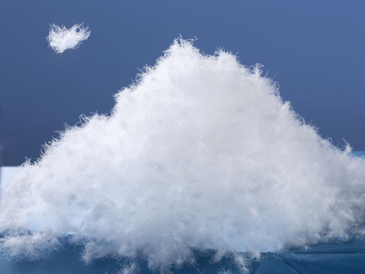 lose WareWeiße, neue, reine, Oldenburger Gänsedaunen (100%)