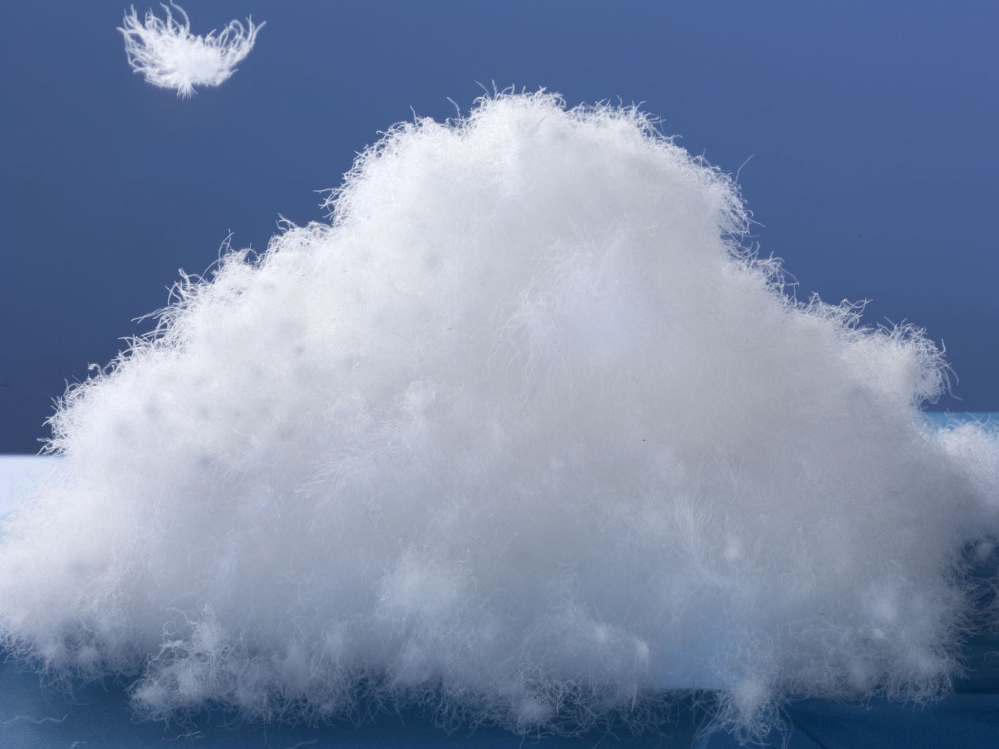 lose WareWeißer, neuer, reiner, Neufundländer Schneegansflaum (100%)